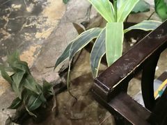 -城墙拐拐火锅(三峡广场黑金冠店)