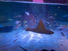 -沈阳海洋探索中心