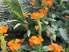 -国家植物园南园