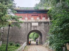 -云岗森林公园