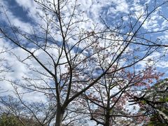 -风云岭森林公园