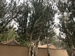 -夏家合汁(天润花园小区店)