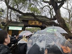 -灵顺寺