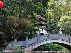 -深圳国际园林花卉博览园