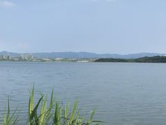 -星巴克(成都科学城店)