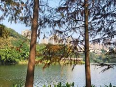-重庆彩云湖湿地公园