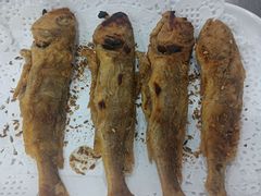 -蒙乡烤全羊·烤羊腿(京溪同和店)