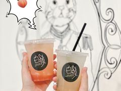 -白夜2D咖啡馆