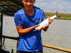 -八仔大富楼·河鲜(西江店)