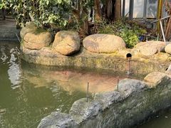-宁波野生动物园