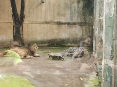 -柳州市动物园