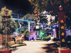 -锦江乐园舞狸花花游园会(夜场专享)