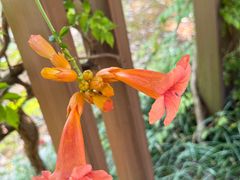 -狼山风景名胜区