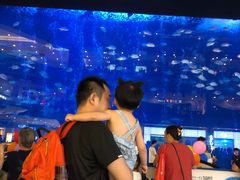 -成都浩海立方海洋公园