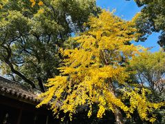 -惠山古镇·寄畅园