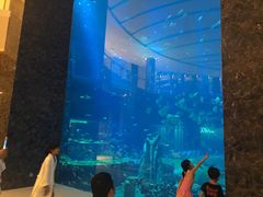 -亚特兰蒂斯•OSSIANO奥西亚诺海底餐厅