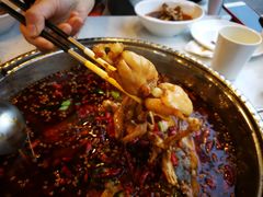 -麻辣巅峰美蛙鱼头火锅(犀浦店)