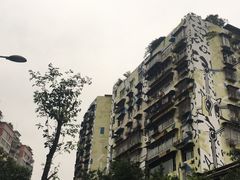 -黄桷坪涂鸦艺术街