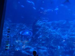 -香港皇家太平洋酒店