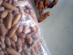 发霉食品-定园