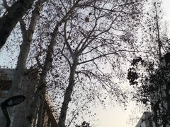 -南京航空航天大学(明故宫校区)