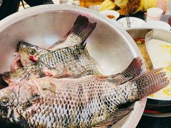 罗非鱼-草墩罗非鱼庄•野生菌•腊排骨(七星街上段店)