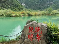 -靖西鹅泉风景区