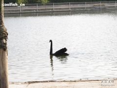 -同济大学(嘉定校区)