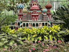 -南宫五洲植物乐园