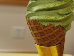 -王守财小山園