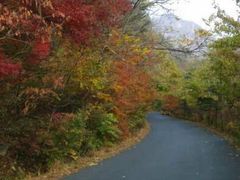 android_upload_pic-丹东天桥沟景区