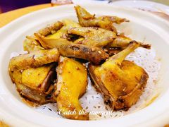 盐焗乳鸽-寻味顺德·南记酒家·传统顺德菜·鱼生(广源路店)