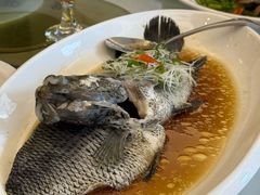 -骏莱海鲜鱼港(五角场店)