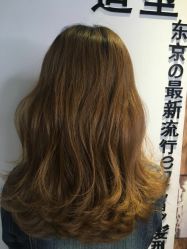 -藤野造型