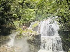 -牛背梁国家森林公园