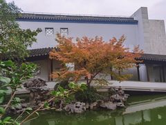 -秋霞圃