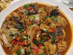 -全乐鱼馆·淳牌有机鱼直营店
