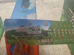 -西双版纳原始森林公园