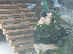 -大青山野生动物园