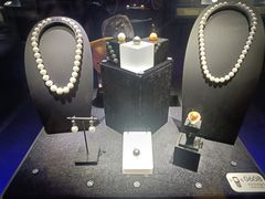 -湖南省地质博物馆