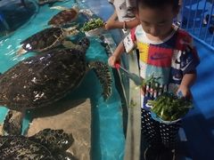-泉城欧乐堡海洋极地世界