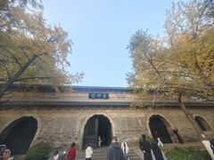 -灵谷景区