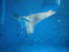 -鹿儿岛水族馆