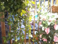 -一只烧鸡公(解放碑店)