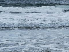 -西涌国际滨海旅游区