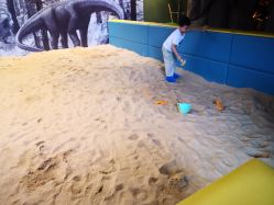 -恐龙探索乐园(磁器口店)