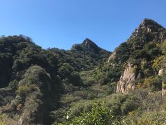 -大岭沟猕猴桃谷风景区