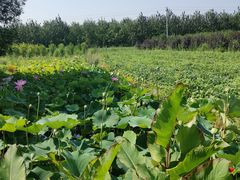 -渔岛海洋度假区