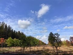 -黄海国家森林公园