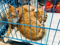 -家饰佳(宜山路店)